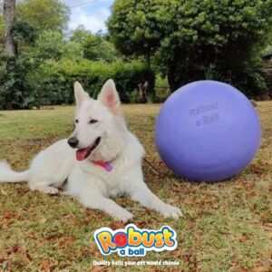 Robust a Ball Herding Ball